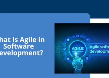 Software Development