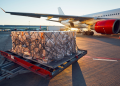 Trusted Air Shipment Services for Businesses of All Sizes