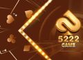Expert Guide of How to play 5222 Game Online