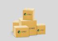 Creo Software Pricing in India: Plans, Licensing & Cost Guide